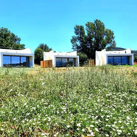 Estrellas De Gredos *