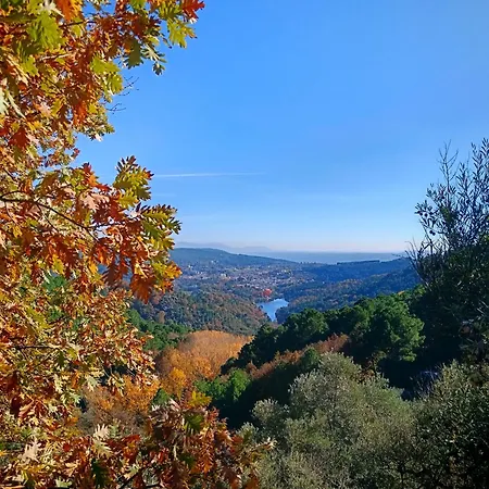 Estrellas De Gredos *