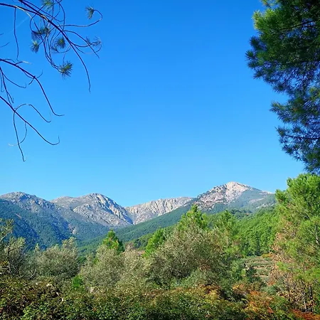 Villa Estrellas De Gredos Arenas de San Pedro