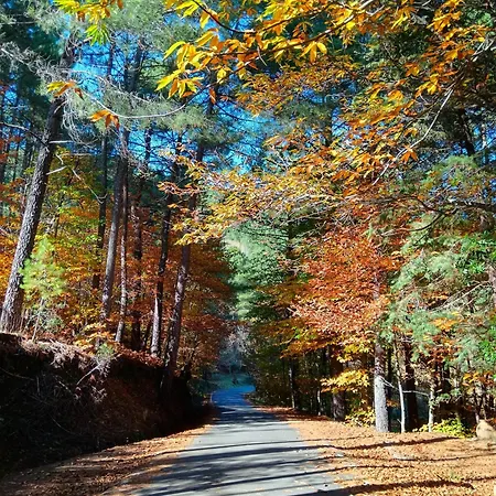 Estrellas De Gredos * 아레나스 데 산 페드로