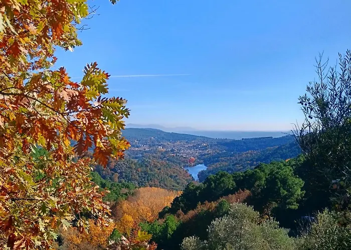 Estrellas De Gredos *